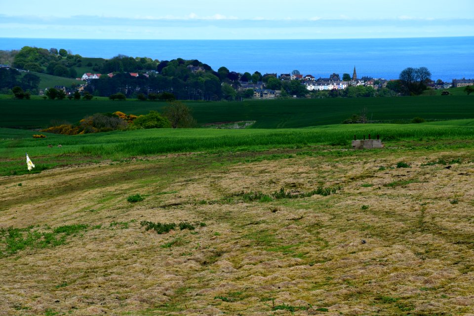 Alnmouth (2021-05-25) 25