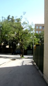 Alley - near Be'sat sq - Nishapur 3