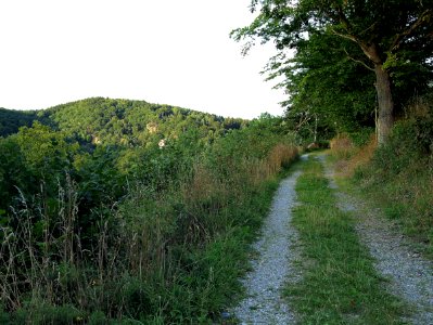 Altenbrak Neuer Weg (2)