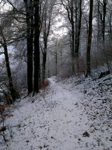 Altenbrak Naturlehrpfad (24)