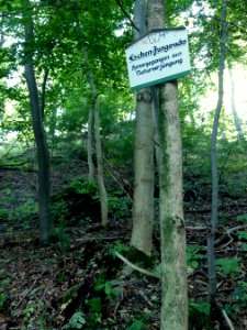 Altenbrak Naturlehrpfad (9)