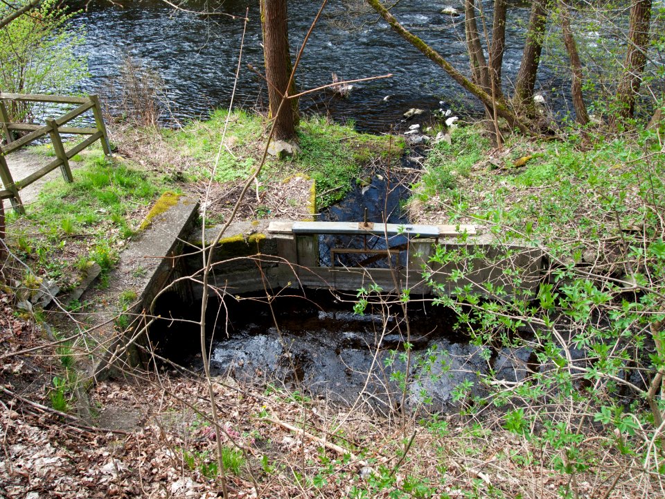 Altenbrak Mühlgraben Höhe StRitter 25