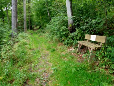 Altenbrak Naturlehrpfad (6)