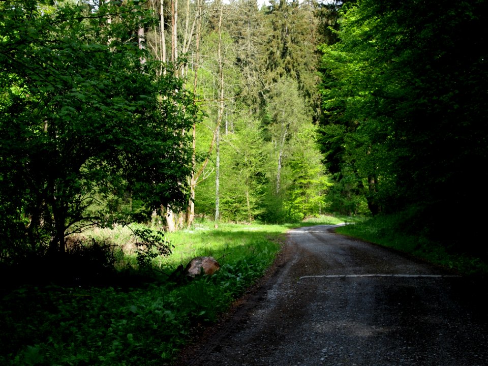 Altenbrak Kleines Mühlental