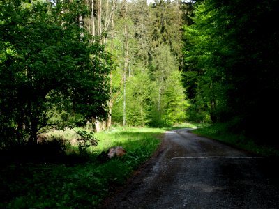 Altenbrak Kleines Mühlental