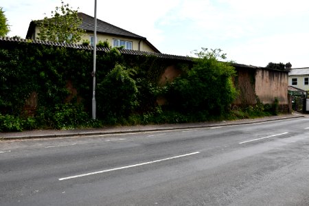 Alphington 2020-04-26 38