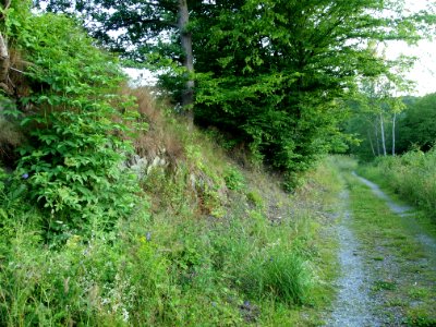 Altenbrak Neuer Weg (11)