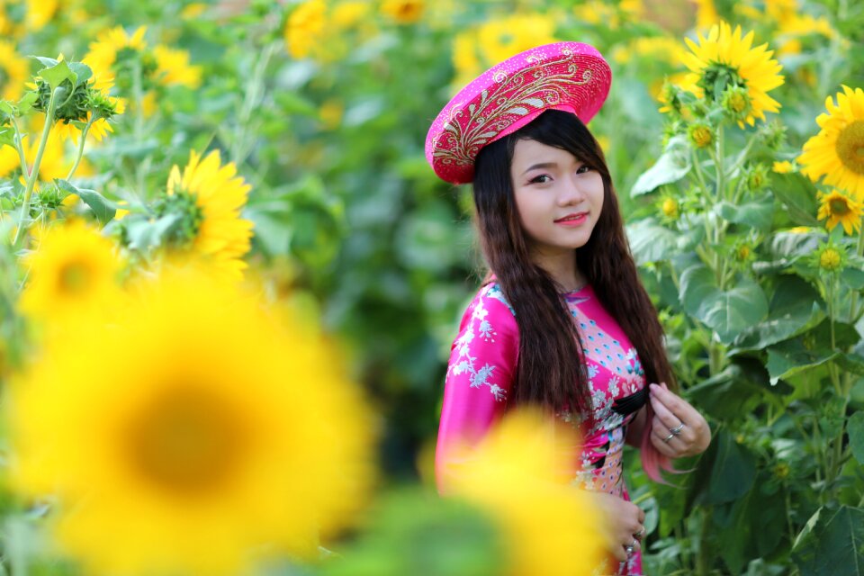 Flower yellow summer