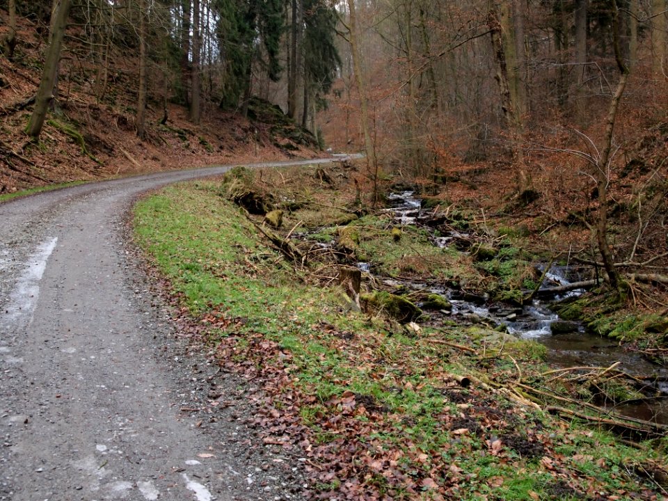 Altenbrak Kleines Mühlental (6)