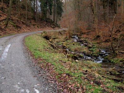 Altenbrak Kleines Mühlental (6)