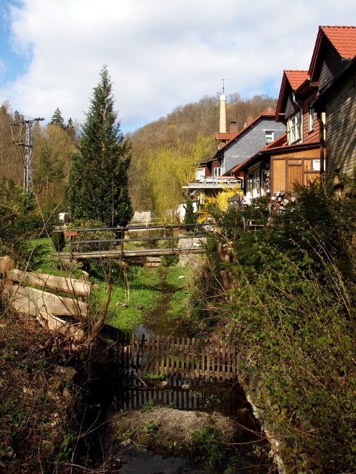 Altenbrak Mühlgraben Höhe Ludwigshütte