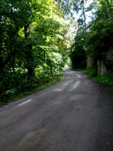 Altenbrak Bodeweg (6)
