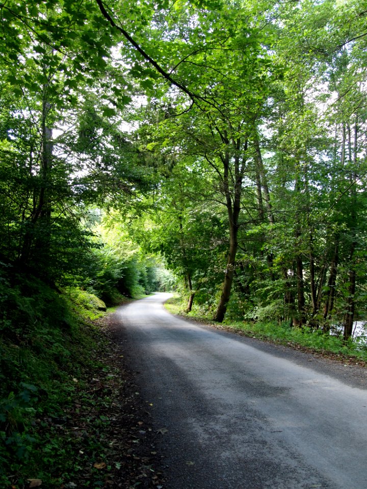 Altenbrak Bodeweg (7)