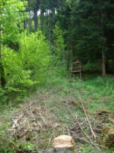 Altenbrak Hochsitz (6)