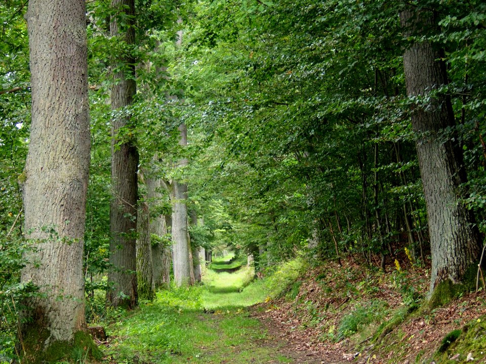 Altenbrak Naturlehrpfad
