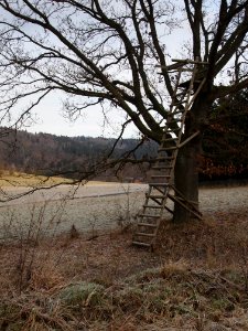 Altenbrak Hochsitz (3)
