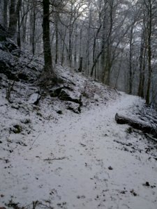 Altenbrak Naturlehrpfad (22)