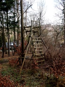 Altenbrak Hochsitz (2)