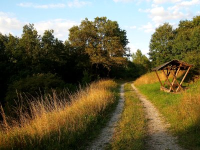 Altenbrak Neuer Weg