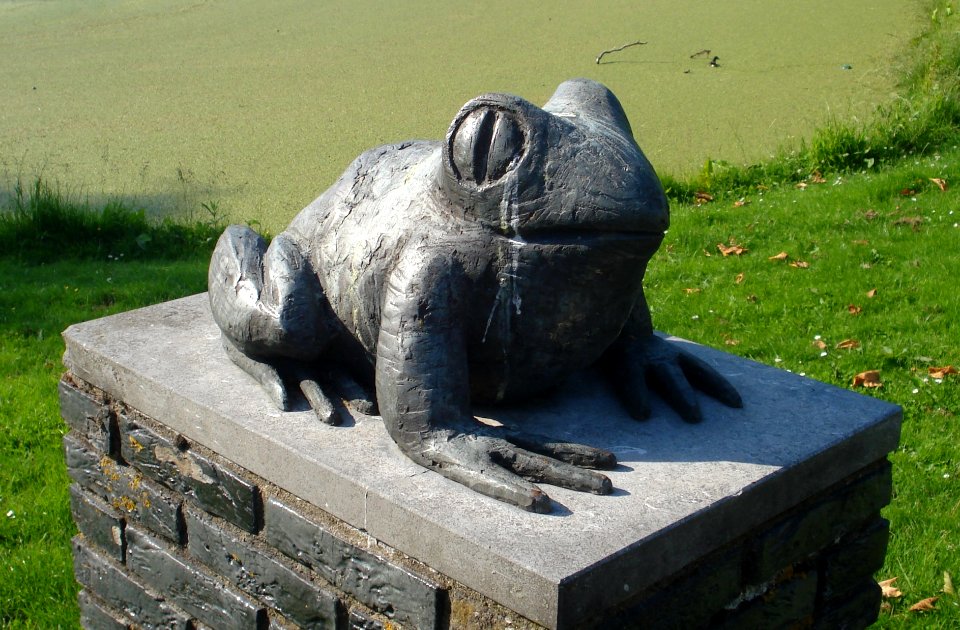 Alphen benthuizen kunstwerk kikker