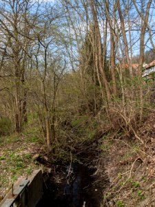 Altenbrak Mühlgraben Höhe StRitter 25 2