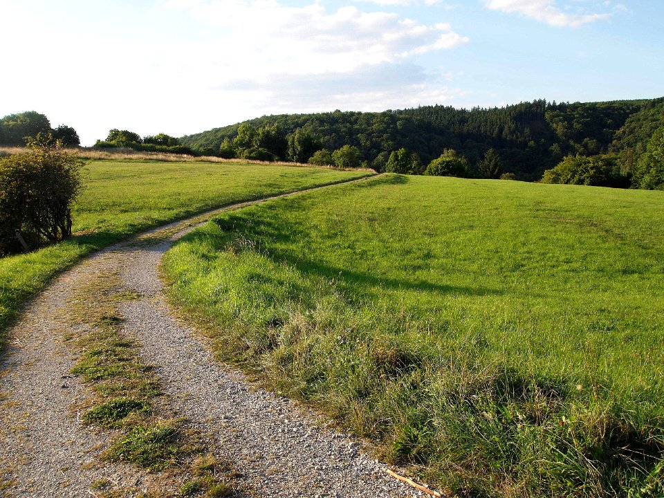 Altenbrak Neuer Weg (5)