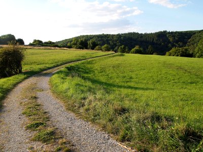 Altenbrak Neuer Weg (5)