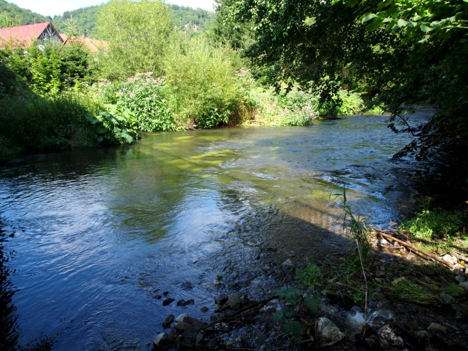 Altenbrak Bode 310714-1