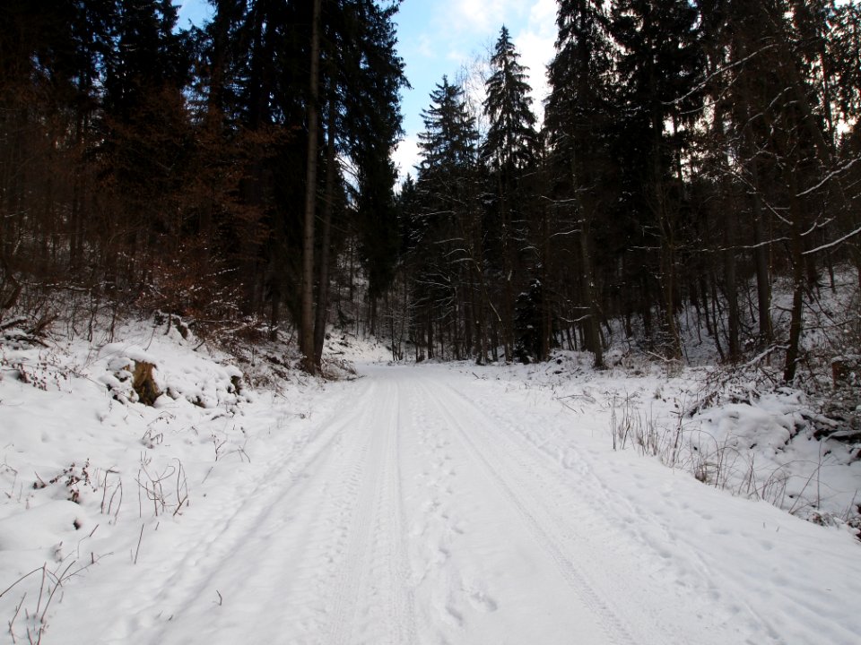 Altenbrak Kleines Mühlental (12)