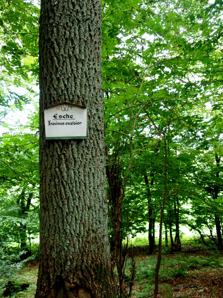 Altenbrak Naturlehrpfad (8)