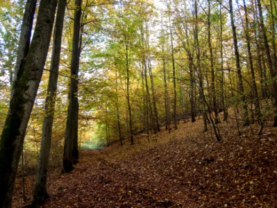 Altenbrak Naturlehrpfad (33)