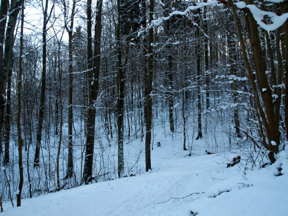 Altenbrak Naturlehrpfad (28)