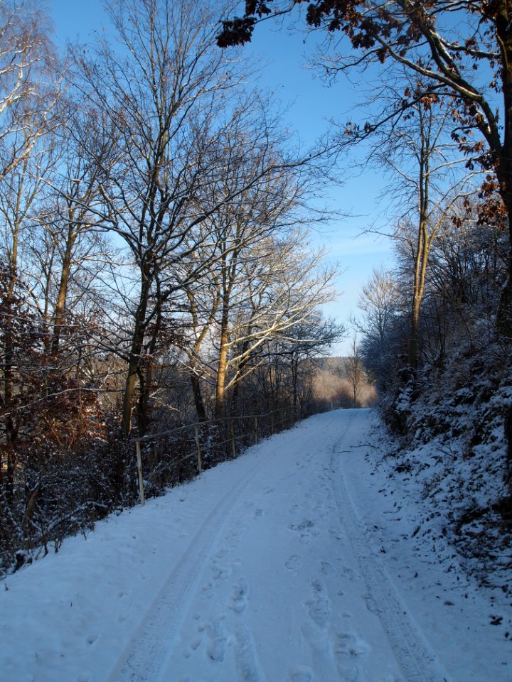Altenbrak Neuer Weg (16)