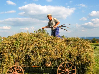Work traditional hard work