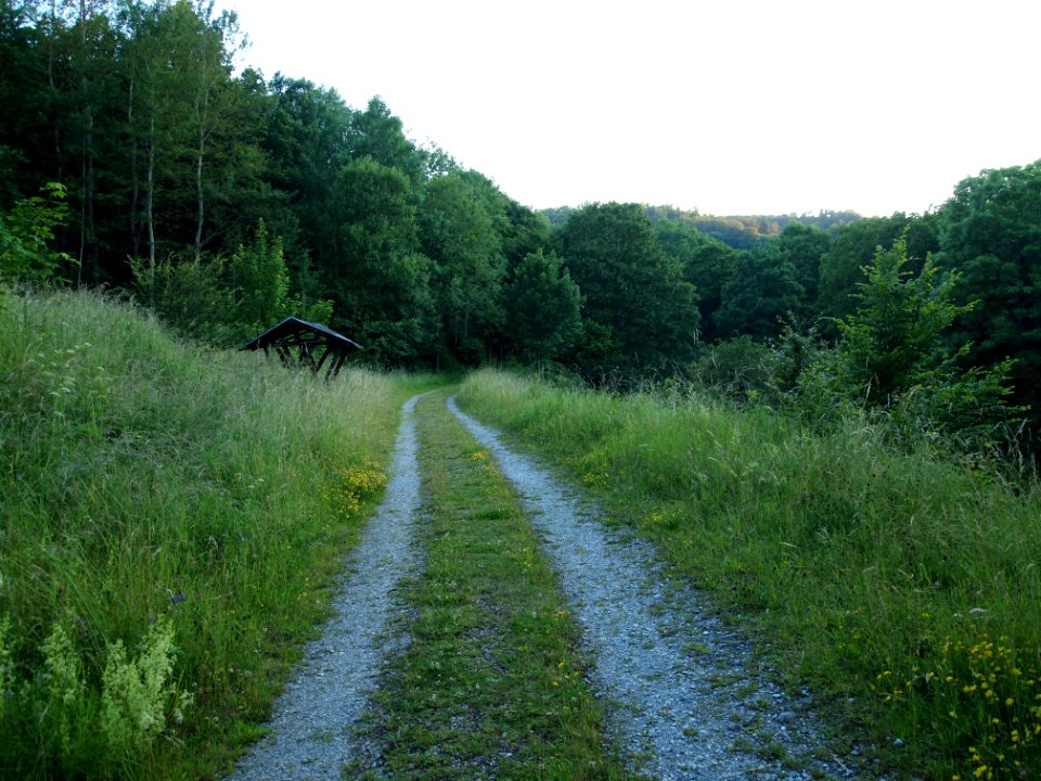 Altenbrak Neuer Weg (9)