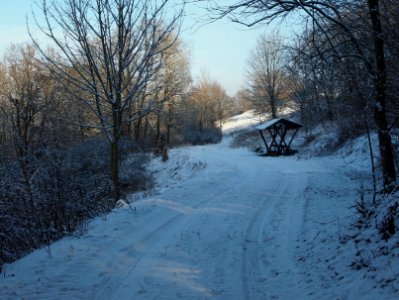 Altenbrak Neuer Weg (15)