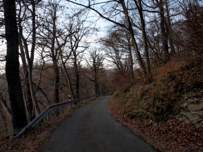 Altenbrak Forstweg (19)