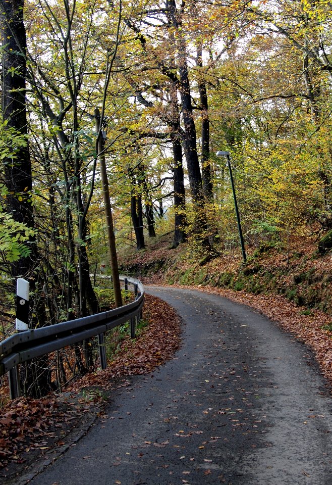 Altenbrak Forstweg (7)