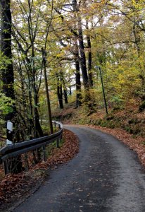 Altenbrak Forstweg (7)