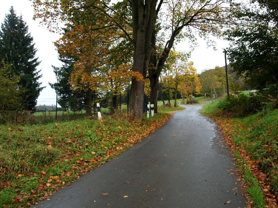 Altenbrak Cellstraße (4)