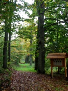 Altenbrak Naturlehrpfad (12)