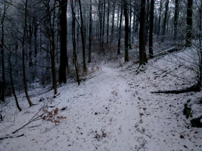 Altenbrak Naturlehrpfad (23)