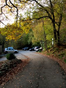 Altenbrak Forstweg (12)