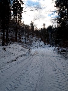 Altenbrak Kleines Mühlental (8)