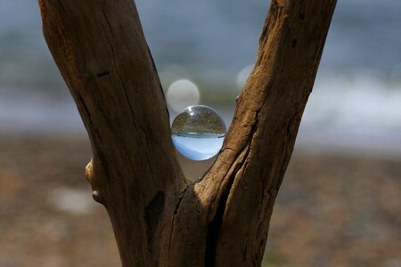 Beach wave driftwood photo