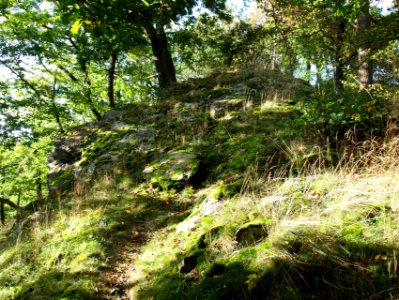 Altenbrak Kuckucksklippe (5)