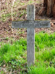 Alter Friedhof, Greiz 02