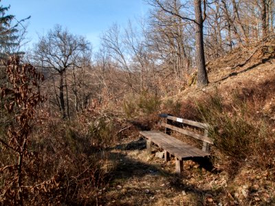 Altenbrak Bank Forstweg (6)