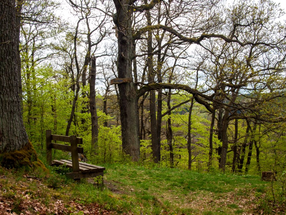 Altenbrak Brockenblick (4)