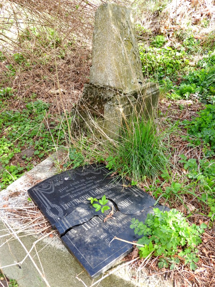 Alter Friedhof, Greiz 06